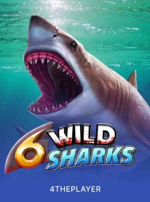 6 Wild Sharks